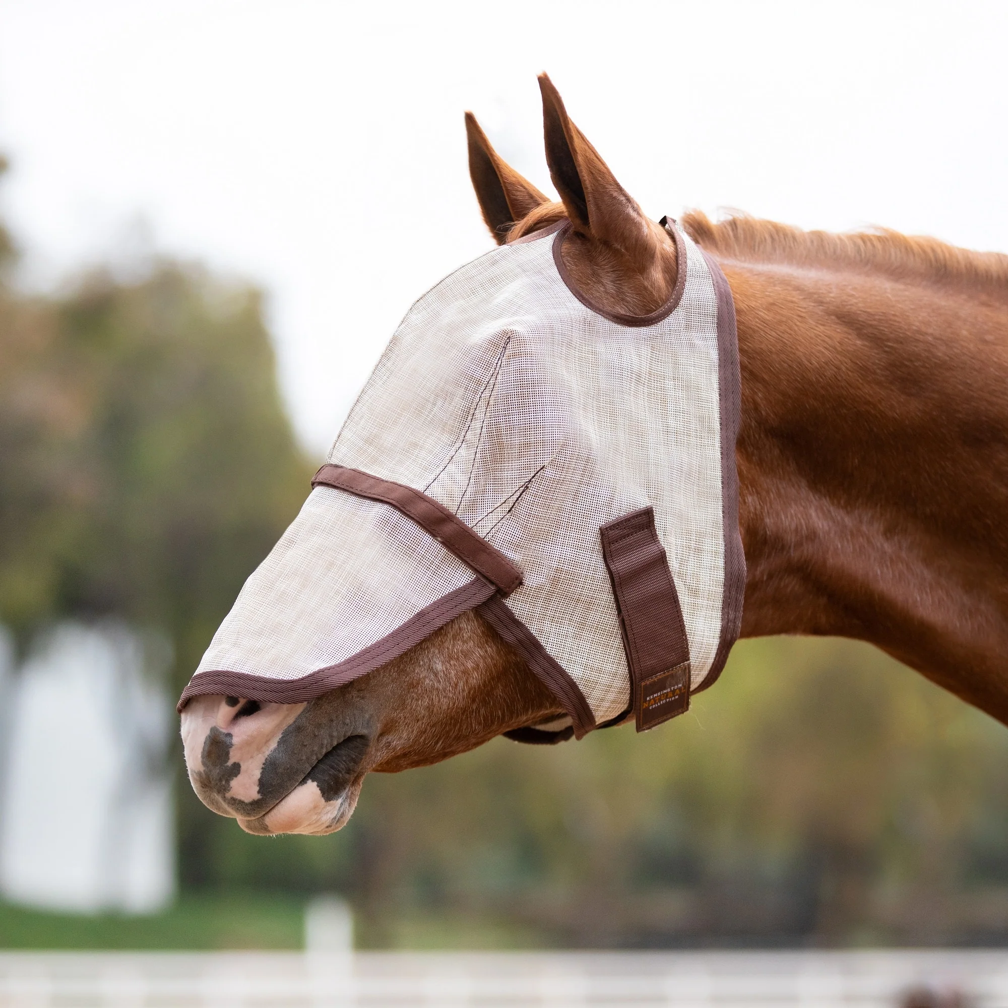 Kensington UV Fly Mask with Nose - Dual Ear & Forelock - Image 14