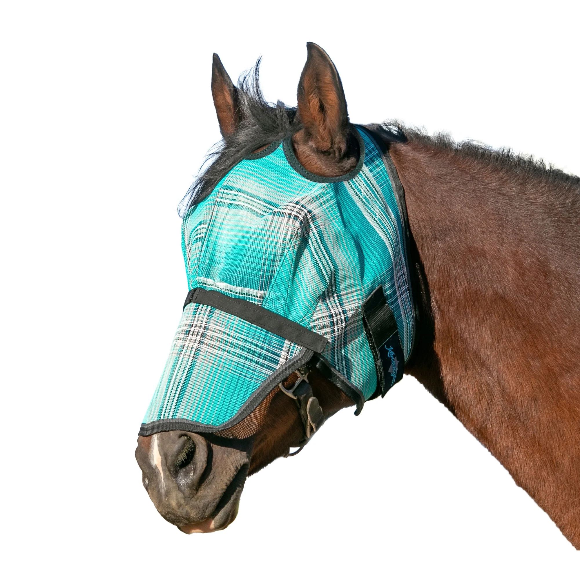 Kensington UV Fly Mask with Nose - Dual Ear & Forelock - Image 6