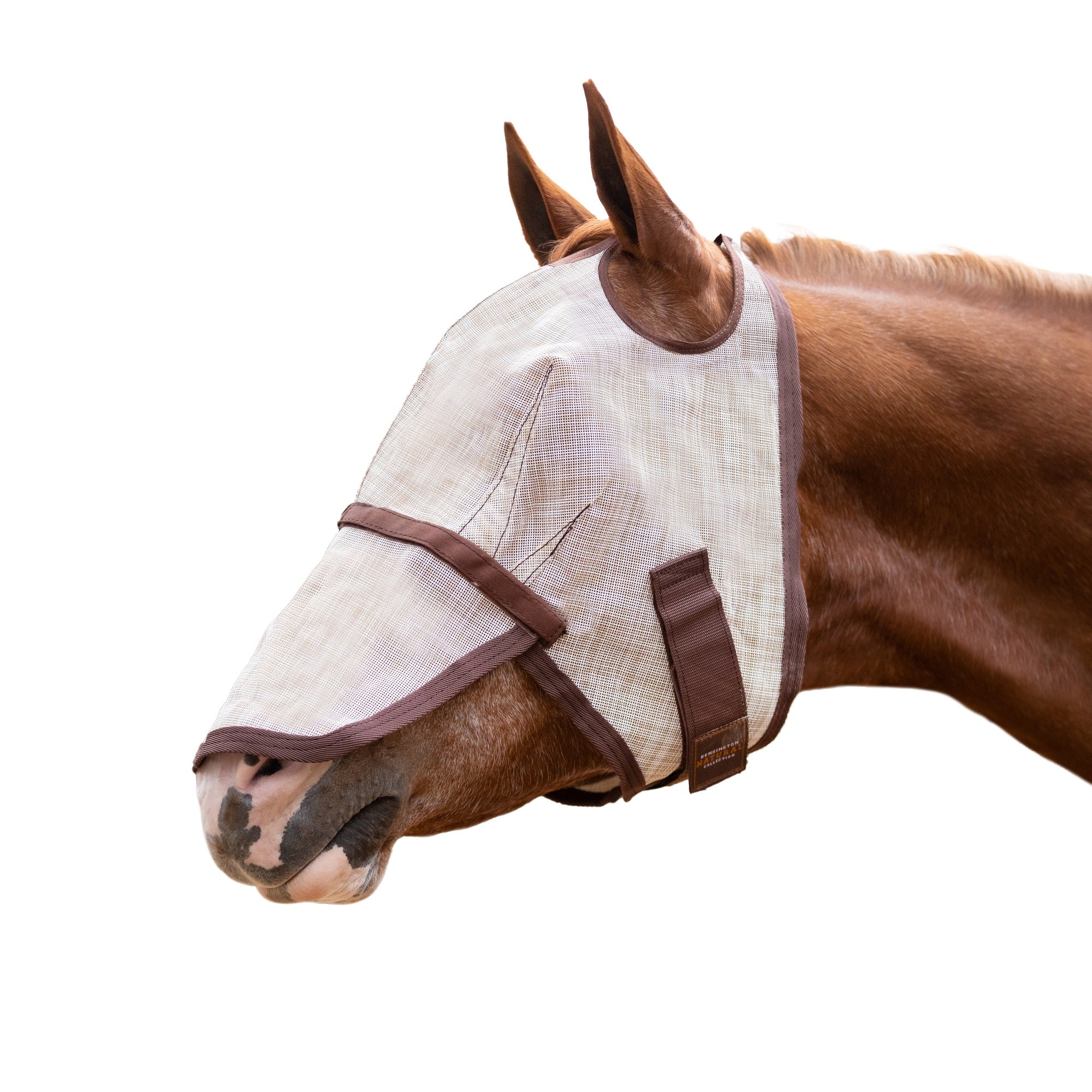 Kensington UV Fly Mask with Nose - Dual Ear & Forelock - Image 7