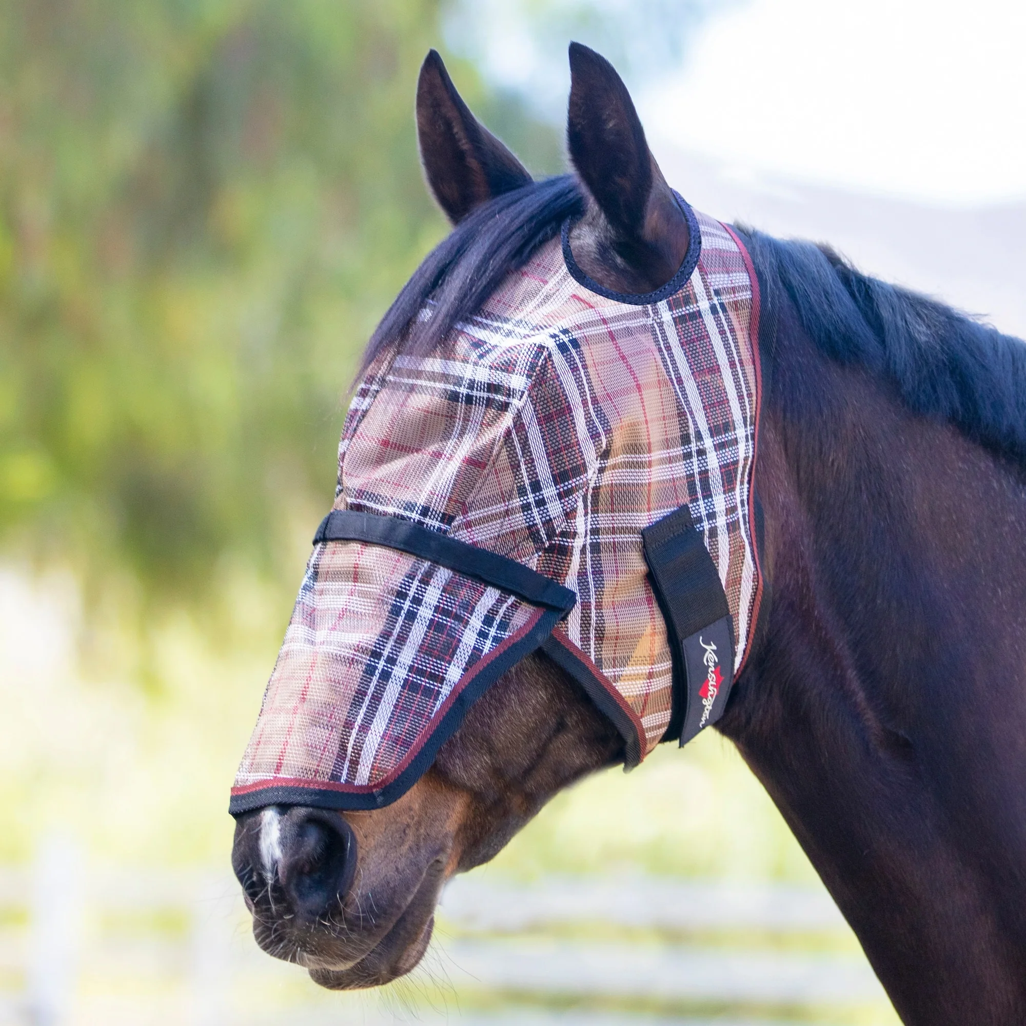 Kensington UV Fly Mask with Nose - Dual Ear & Forelock - Image 8