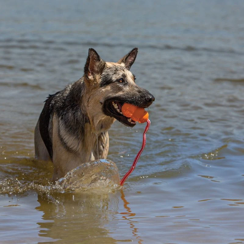 KONG Aqua Floating Retriever Dog Toy - Image 3