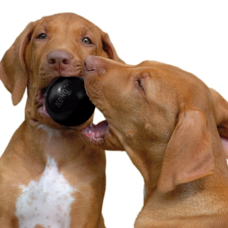 Extreme KONG Ball Dog Toy - Image 2