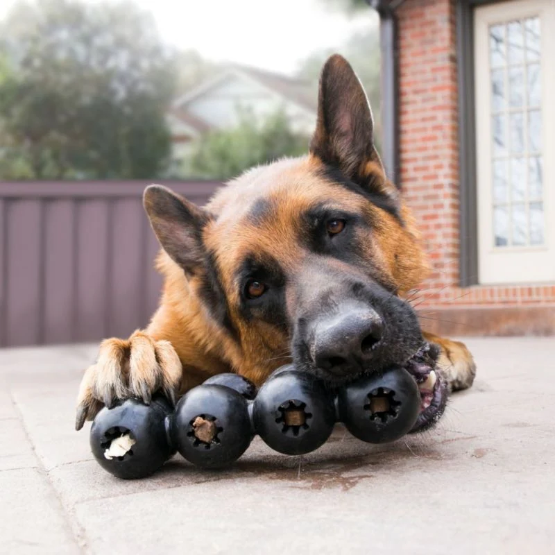 KONG Extreme Goodie Ribbon Dog Toy - Image 2
