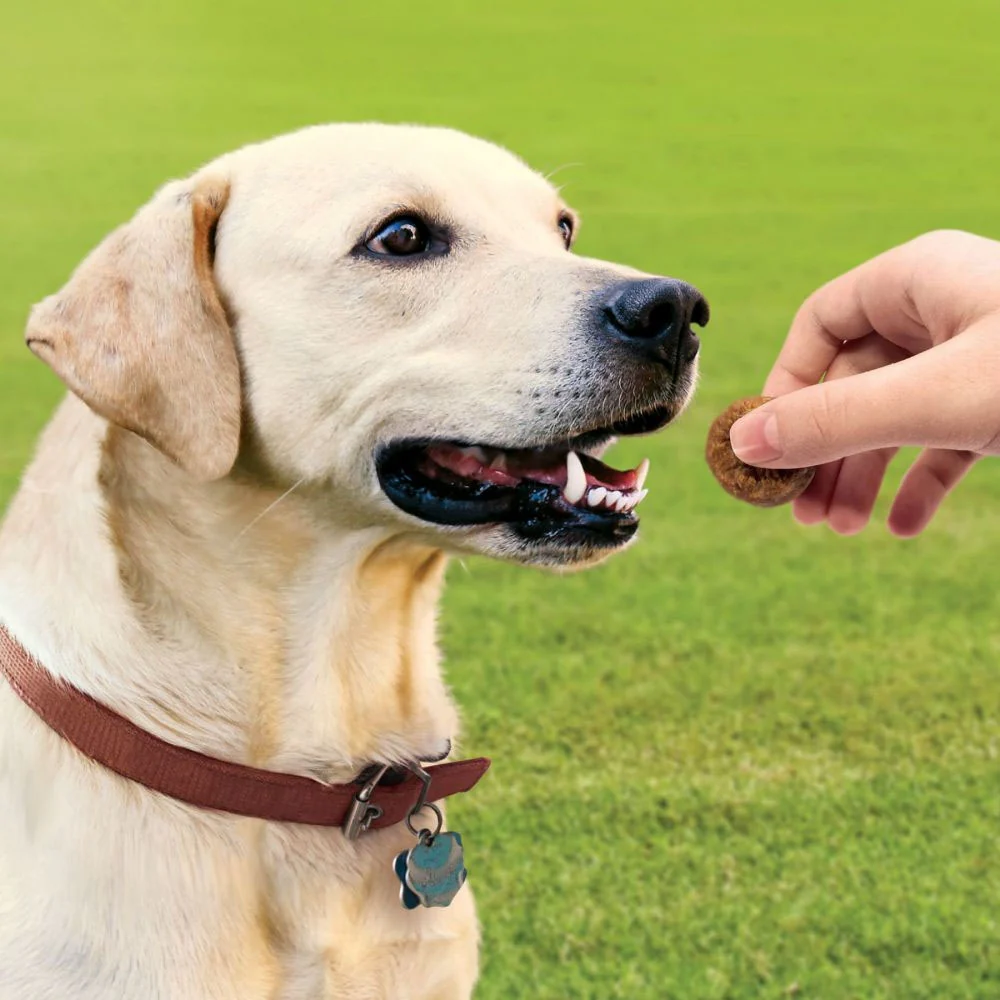 KONG Mini Meatballs For Dogs - Image 4