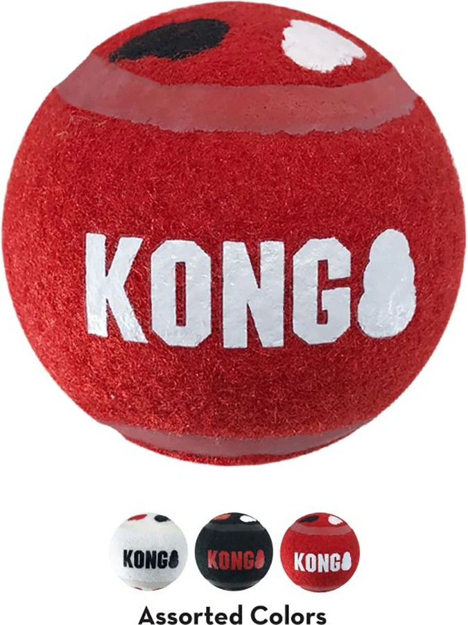 KONG Signature Sport Balls - Image 2