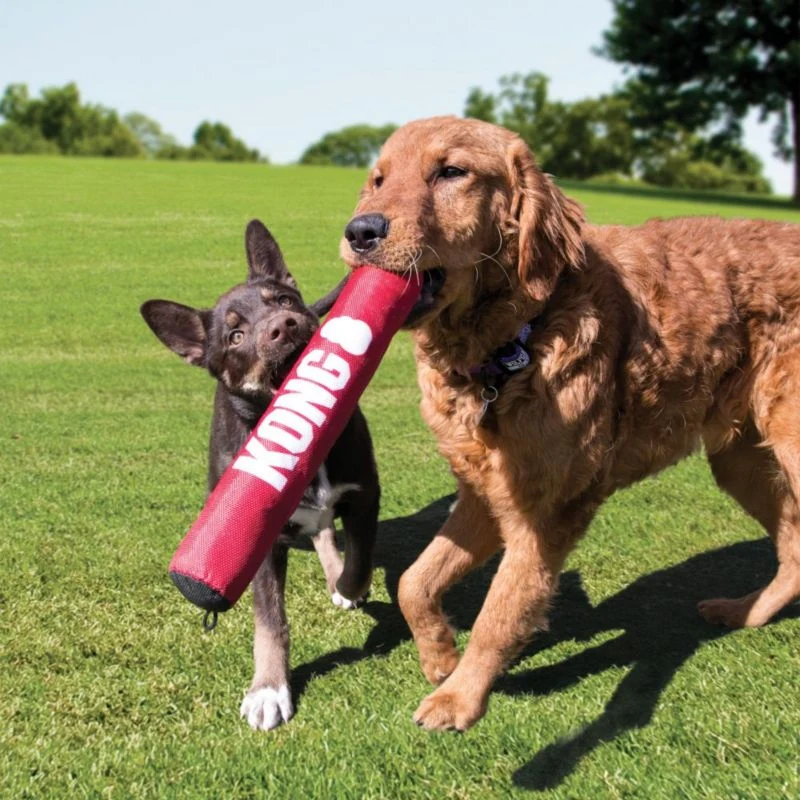 KONG Signature Stick Dog Toy - Image 2