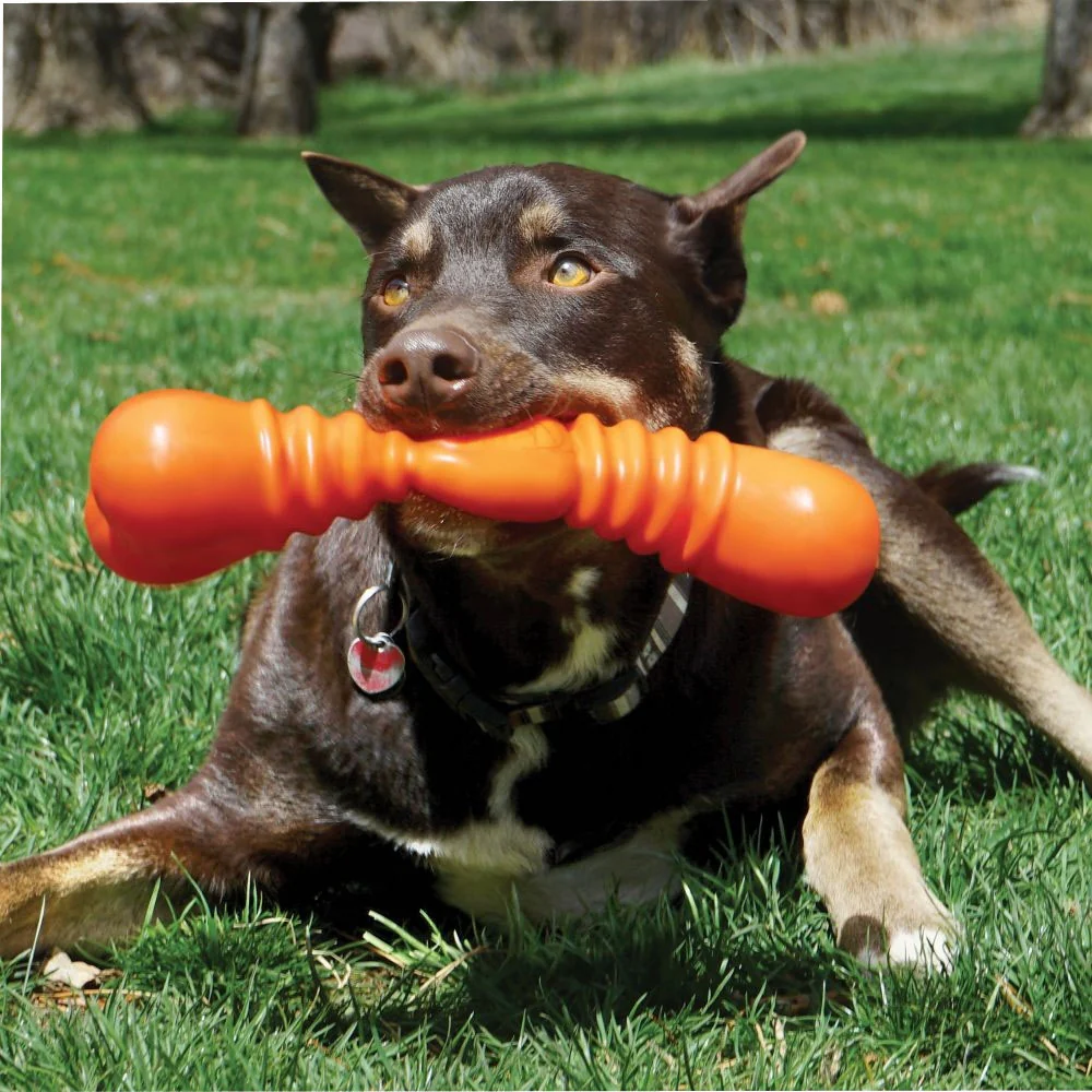 KONG SqueakStix Wigglerz - Image 5
