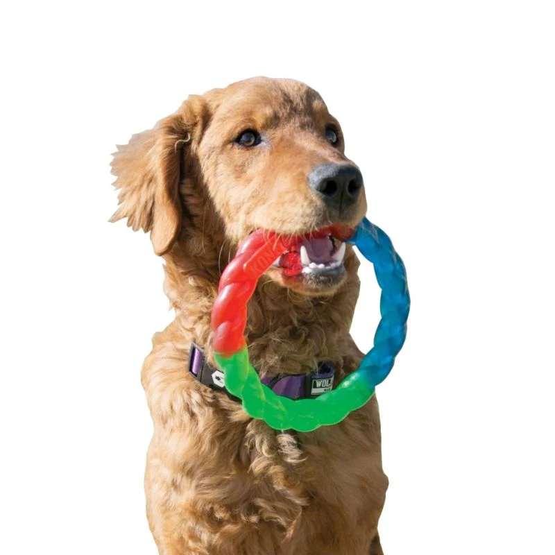 KONG Twistz Ring Dog Toy - Image 3