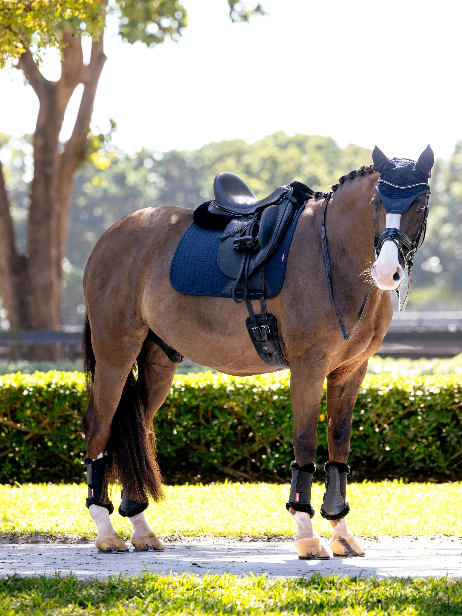 Lemieux Essence Dressage Square Pad - Image 5