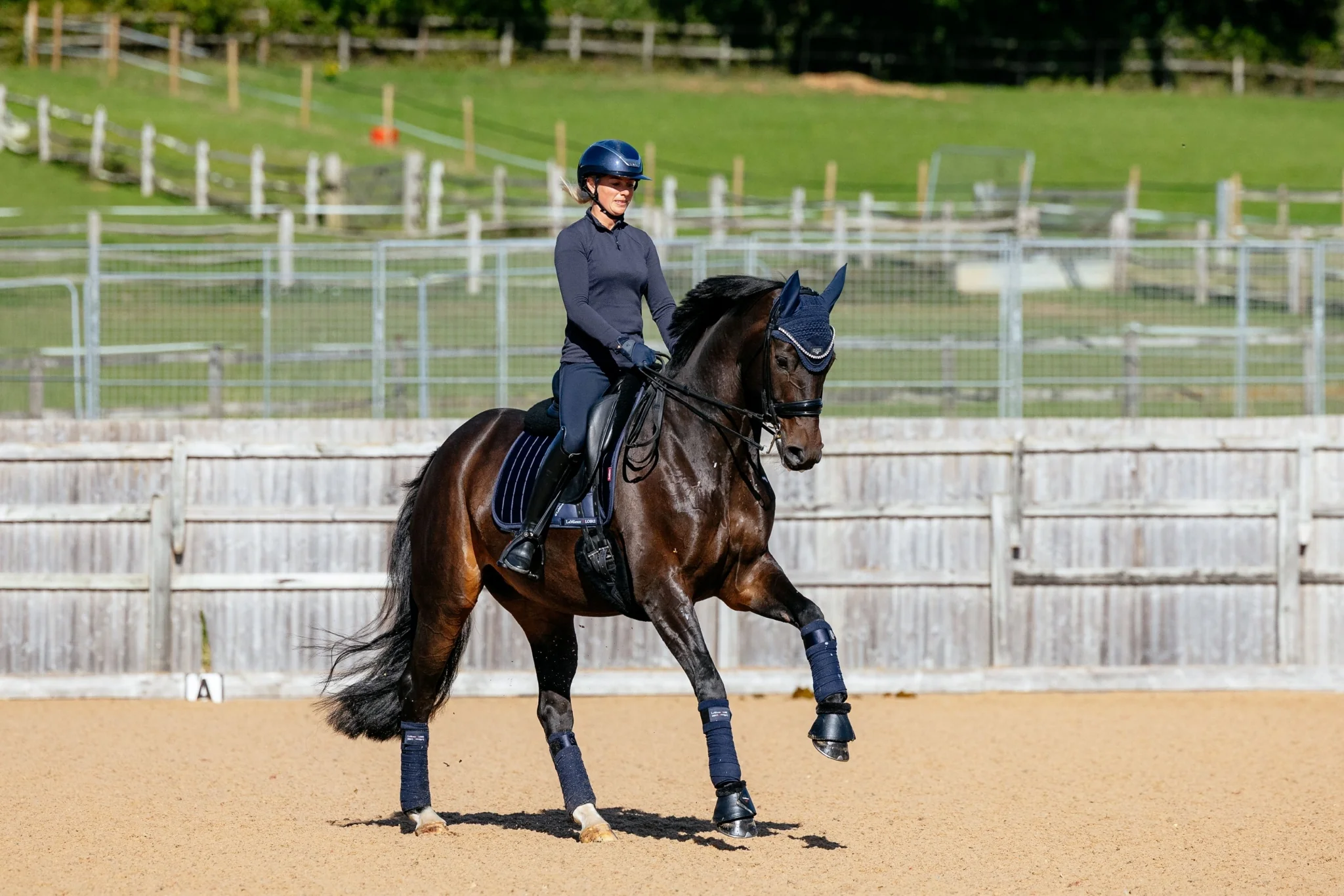 Lemieux Loire Dressage Square Pad - Image 10