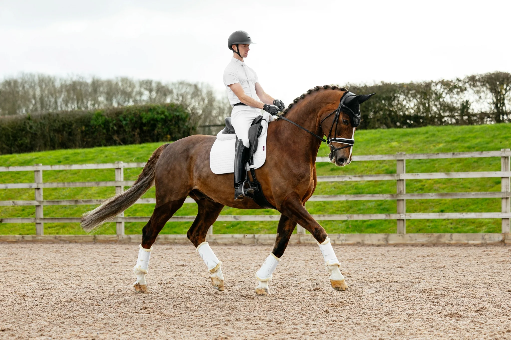 Lemieux Suede Dressage Square Pad - Image 10