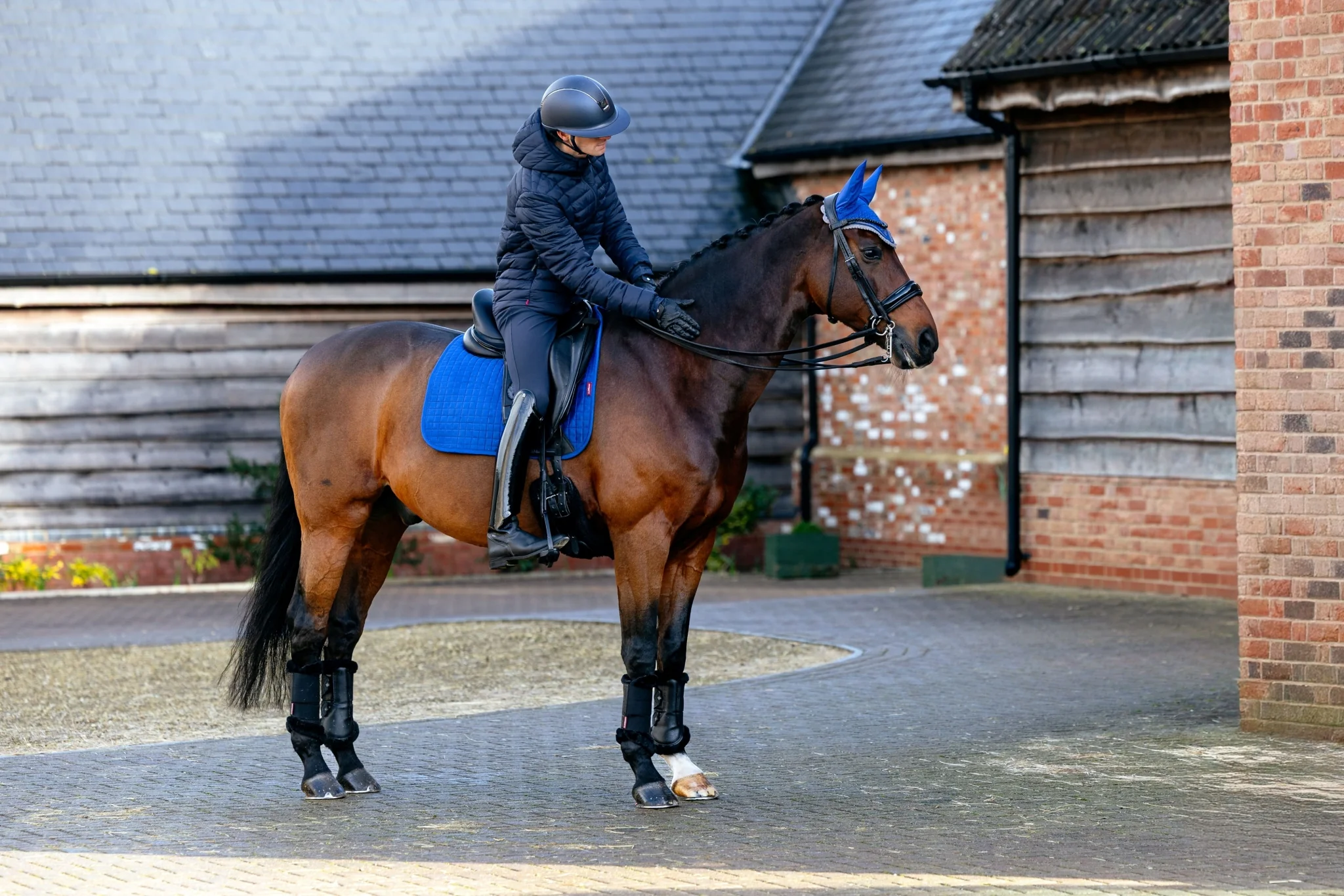 Lemieux Suede Dressage Square Pad - Image 11