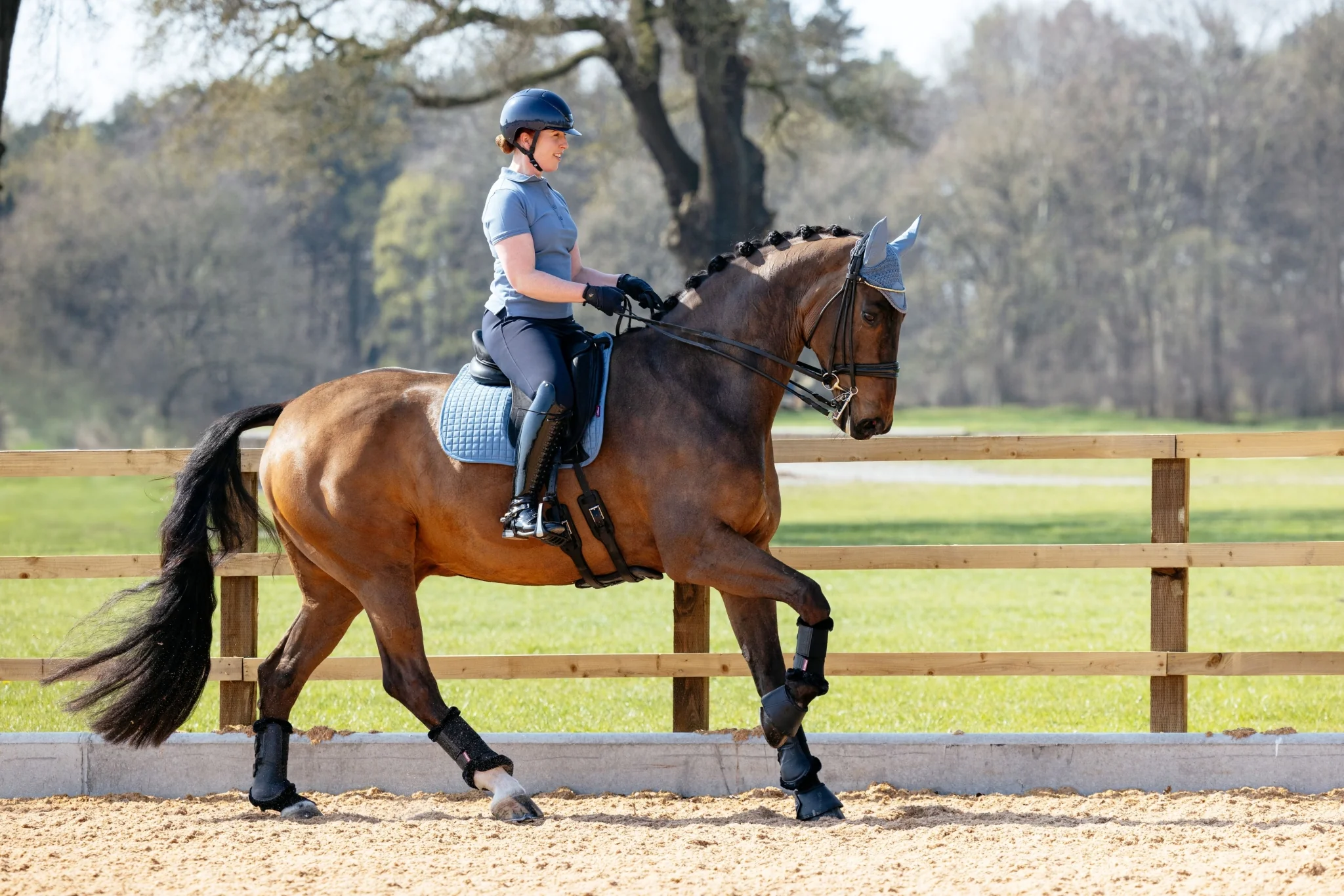 Lemieux Suede Dressage Square Pad - Image 12