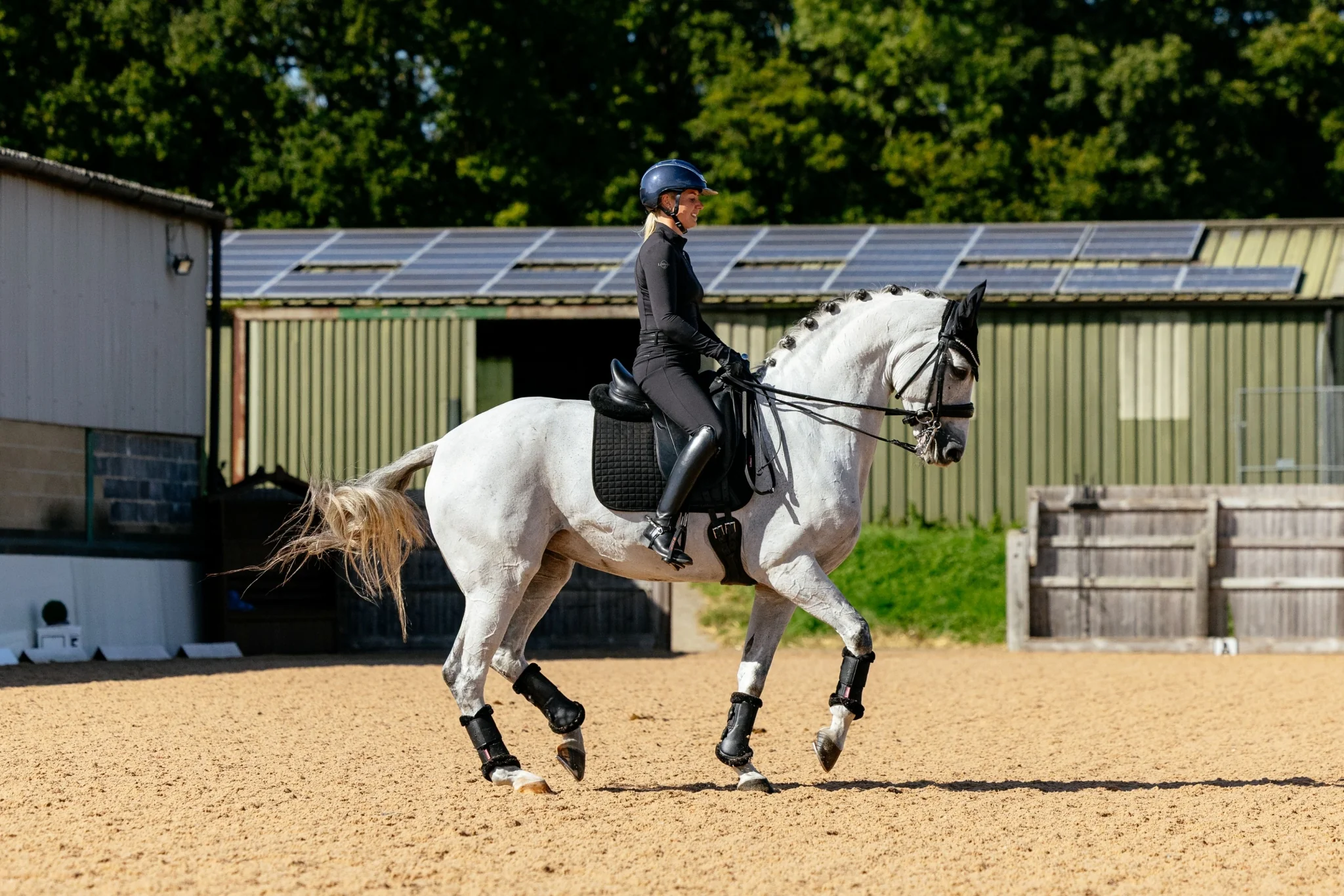 Lemieux Suede Dressage Square Pad - Image 8