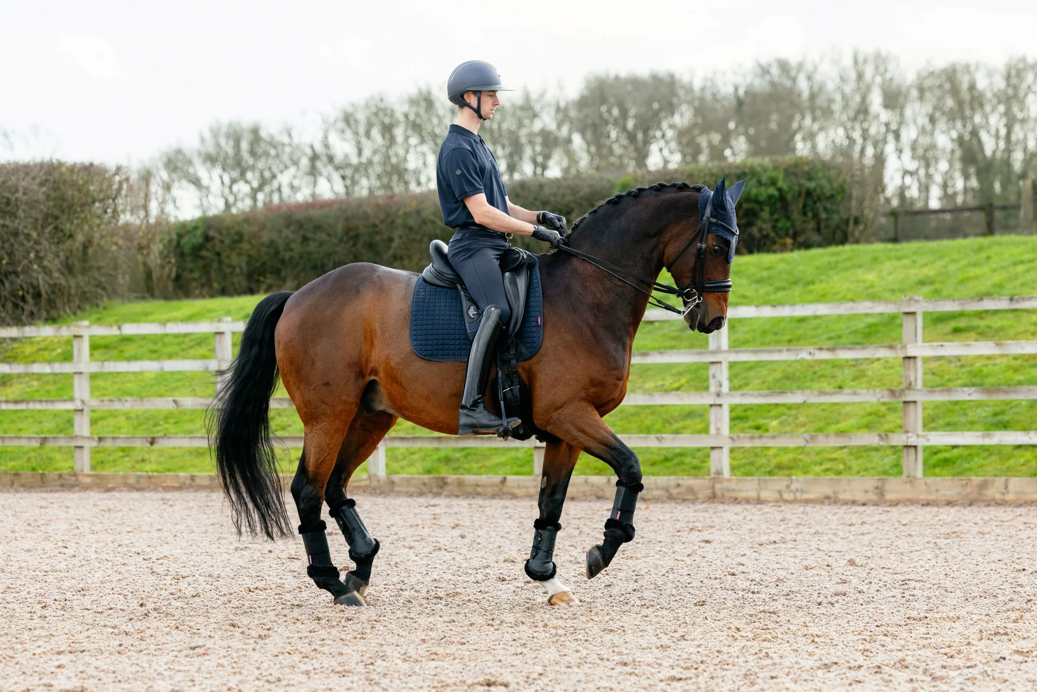 Lemieux Suede Dressage Square Pad - Image 9