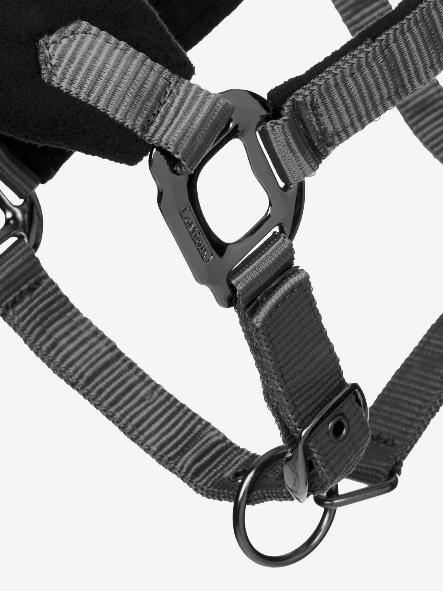 Lemieux Vogue Halter & Leadrope - Image 7
