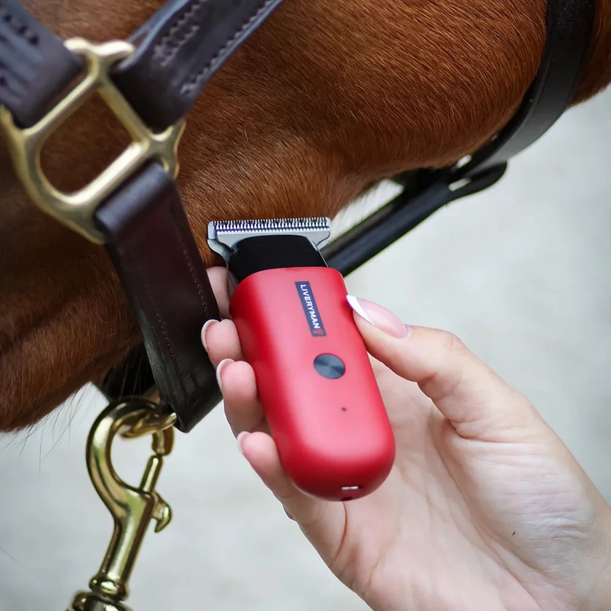Liveryman Robin Professional Horse Trimmer - Image 3