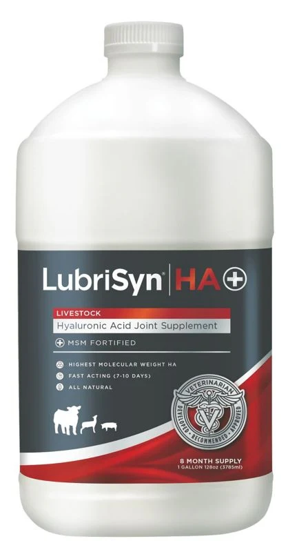 Lubrisyn HaPlus Hyaluronic Acid Livestck Joint Gal