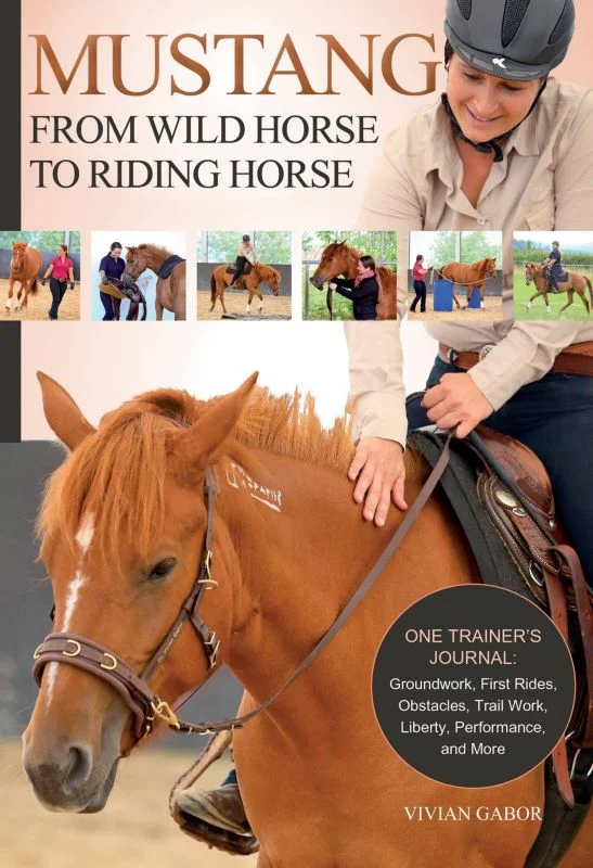 Mustang From Wild Horse to Riding Horse 160 Pages