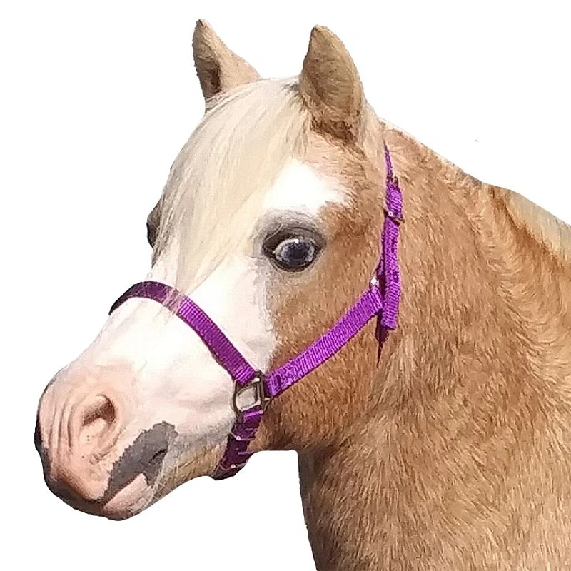 Neue Schule Tranz Angled Lozenge Pony Butterfly Pe - Image 12