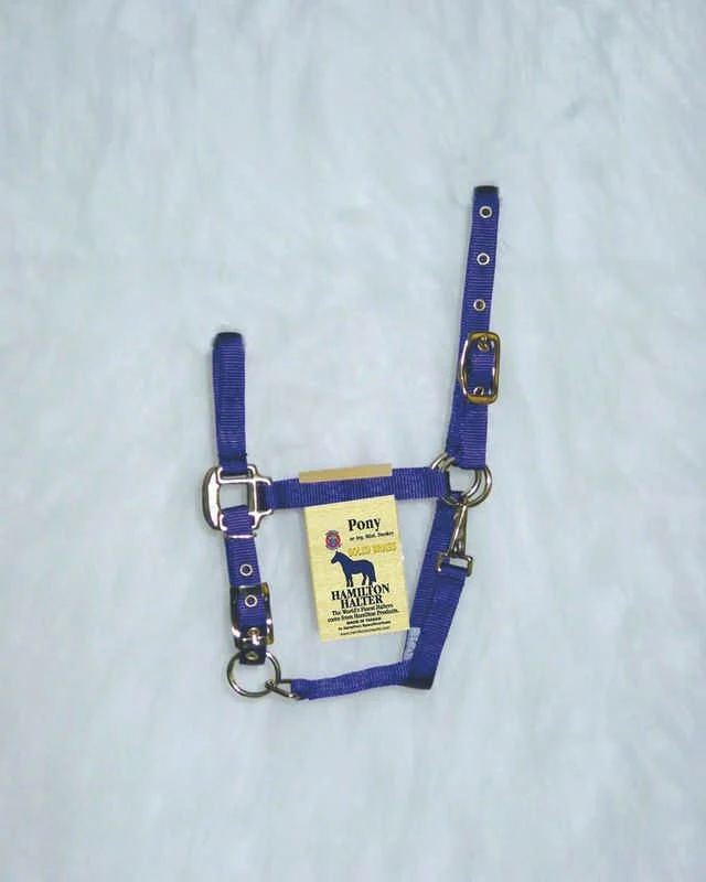 Nylon Chin Halter For Ponies Pony Brn