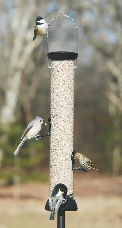 Onyx Nyjer Sunflower Tube Bird Feeder - Image 4