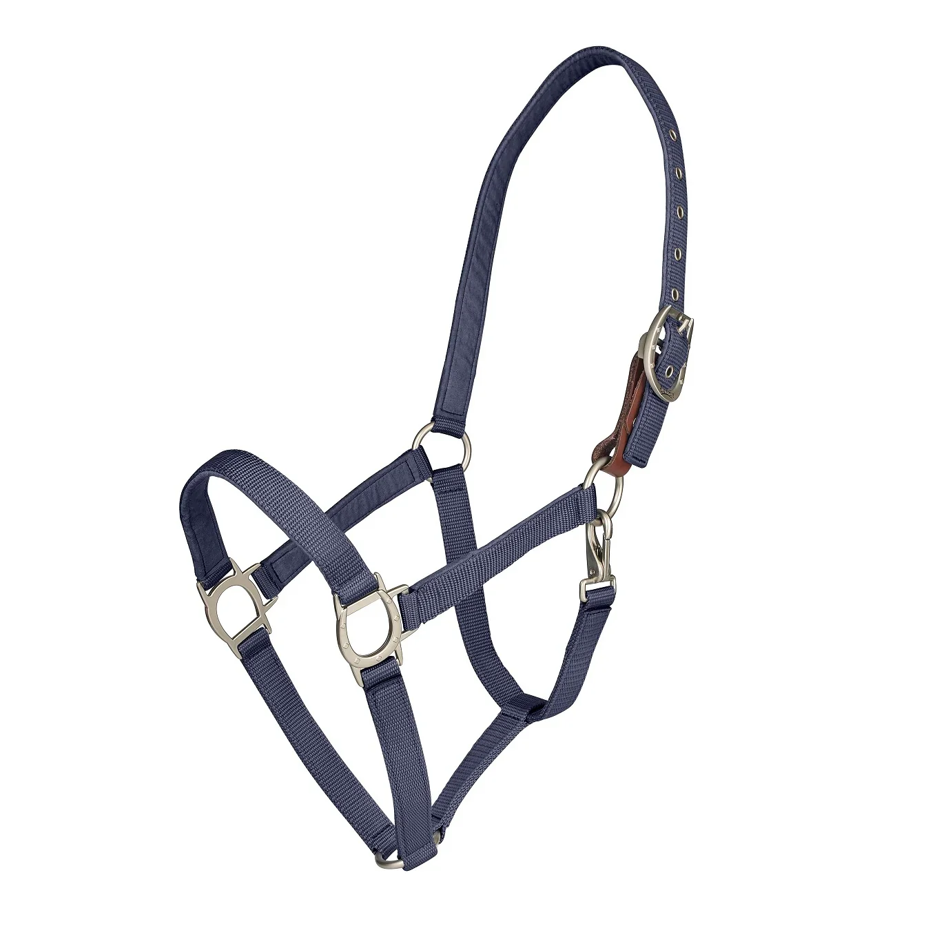 Ovation Lucky Breakaway Halter - Image 4
