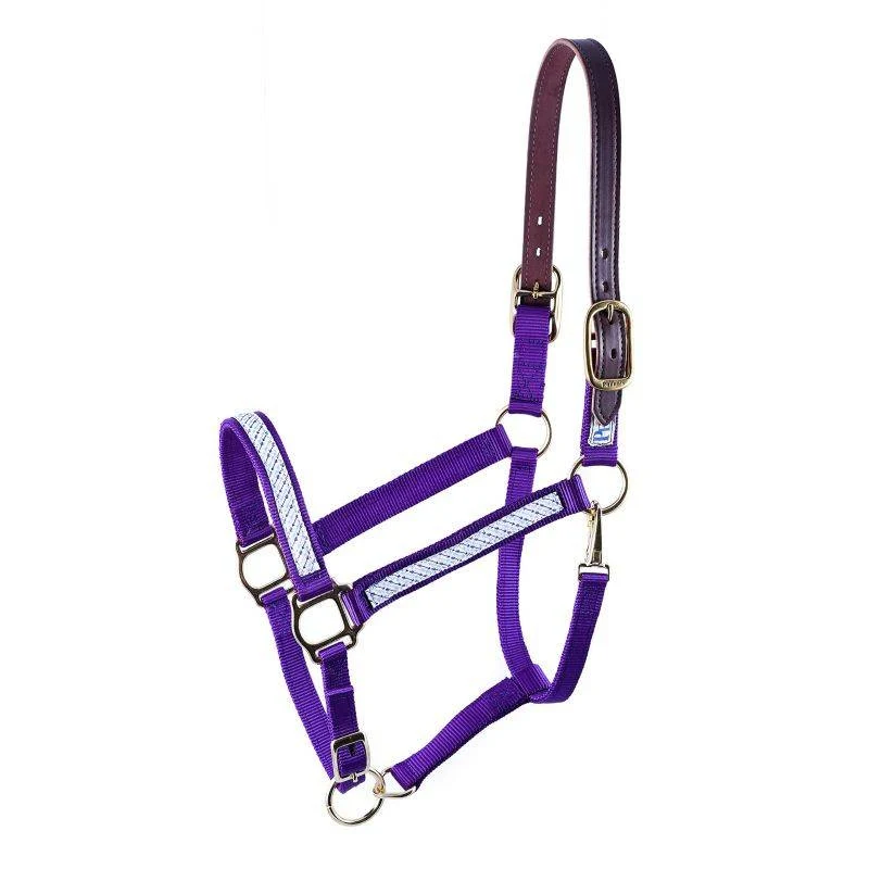 Perris Ribbon Safety Halter - Image 4