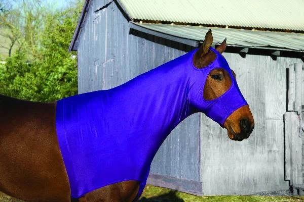 Perris Lycra Hood Large Black - Image 2