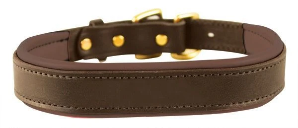Perris Padded Leather Dog Collar - Image 2