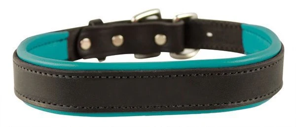 Perris Padded Leather Dog Collar - Image 3