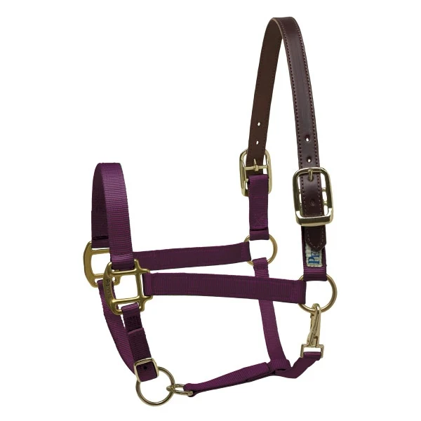 Perris Ribbon Safety Halter Mini B Purple/LLama