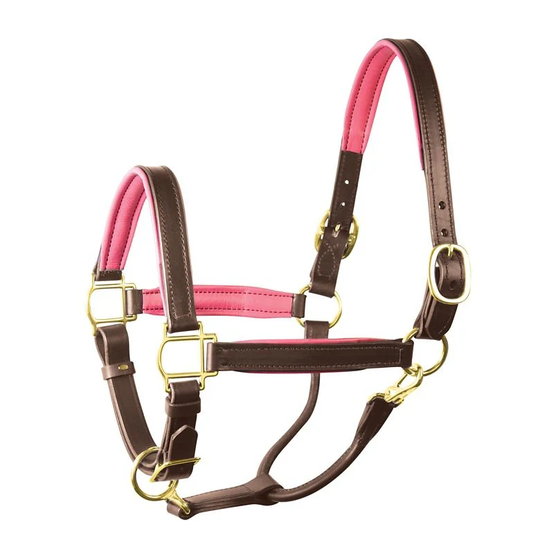 Perri's Soft Padded Leather Halter - Image 2