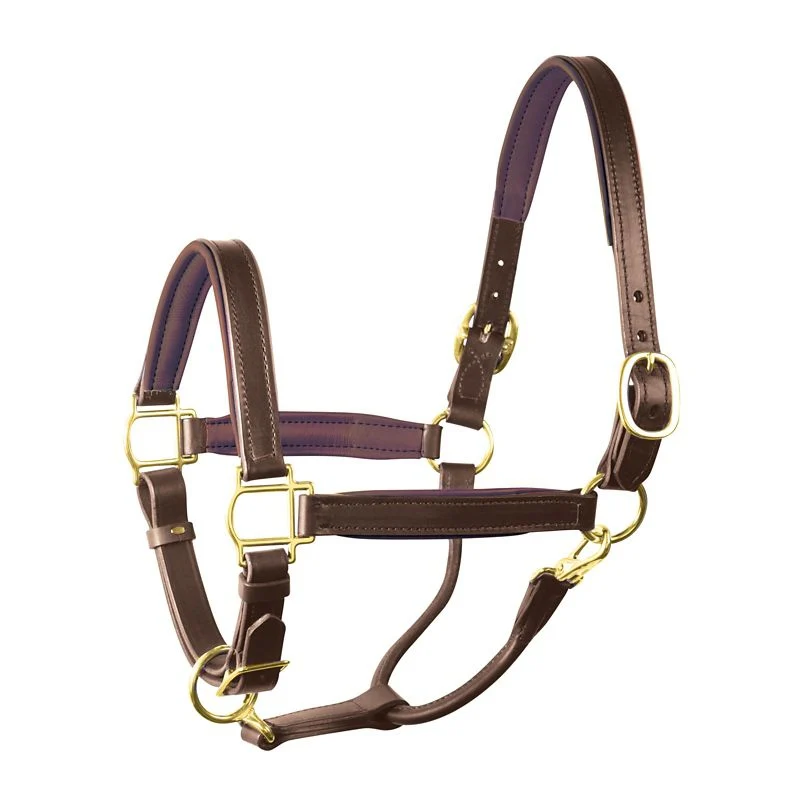 Perri's Soft Padded Leather Halter - Image 4