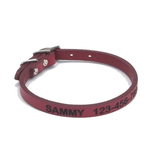 Personalized Leather Dog Collar