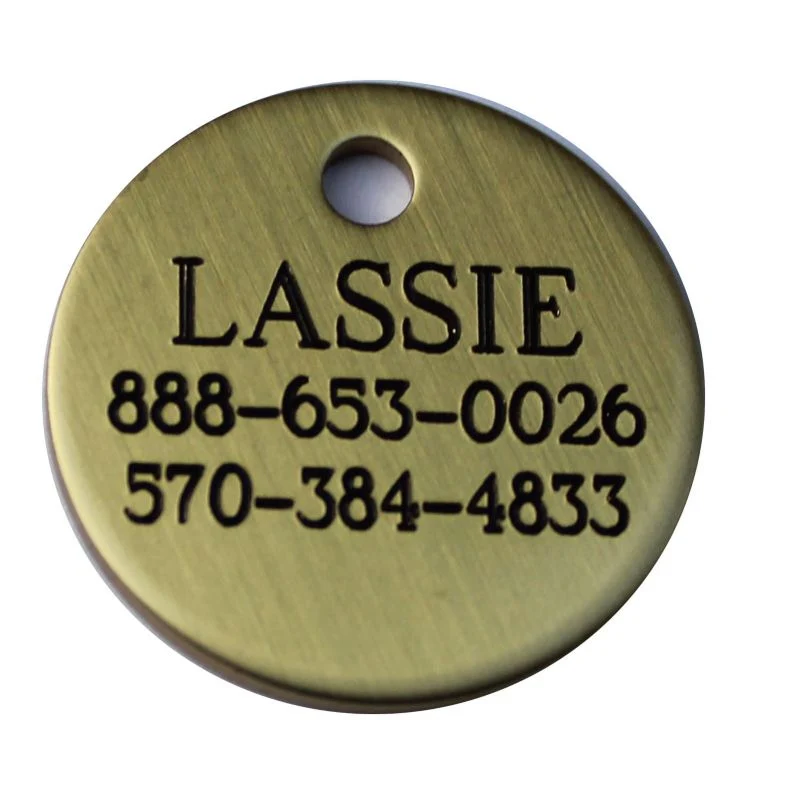 Personalized Round Halter/Bridle/Pet Tag - Image 3