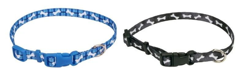 Pet Attire Bones Dog Collar - Image 2