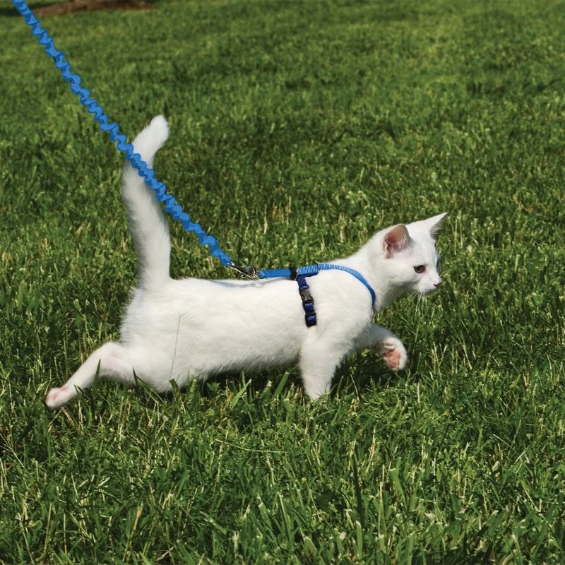 Kitty Harness/Leash Medium Lilac - Image 6