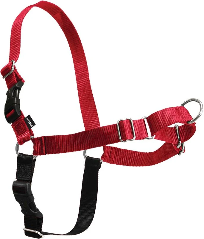 PetSafe Easy Walk Dog Harness - Image 4