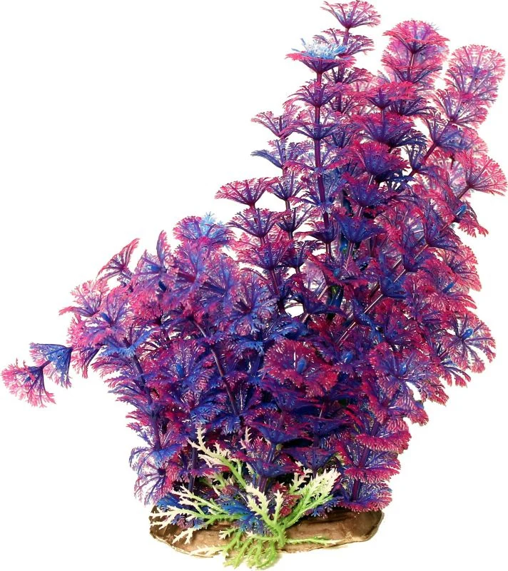 Poppy Pet Bushy Ambuila Aquarium Plant Blue - Image 2