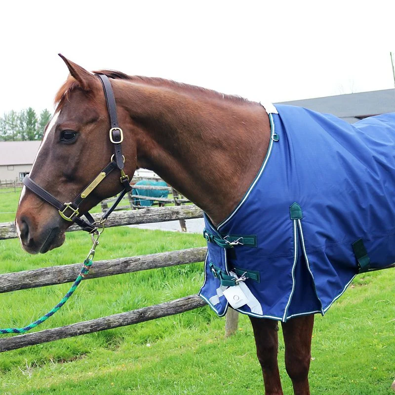 Pro-Trainer 100G TO Blanket with Neck Cover 1200D - Image 4