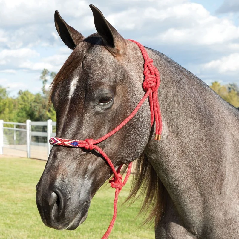 Professionals Choice Beaded Rope Halter - Image 2