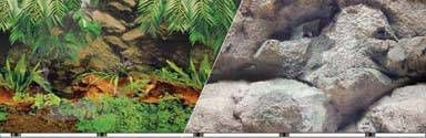 Blue Ribbon Rainforest Aquarium Background - Image 2