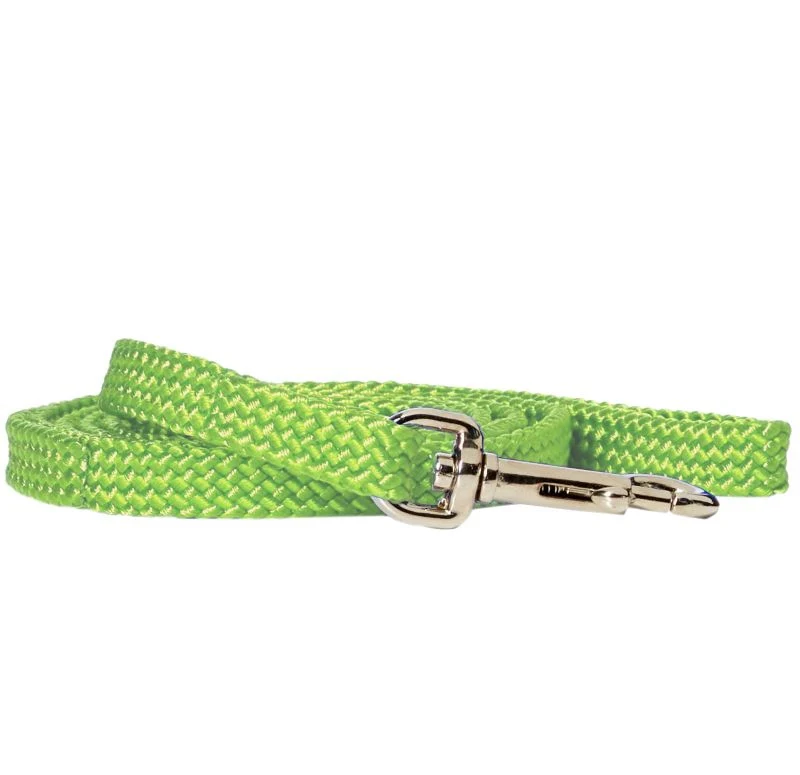 Rainbow Nylon Puppy Lead - Image 3
