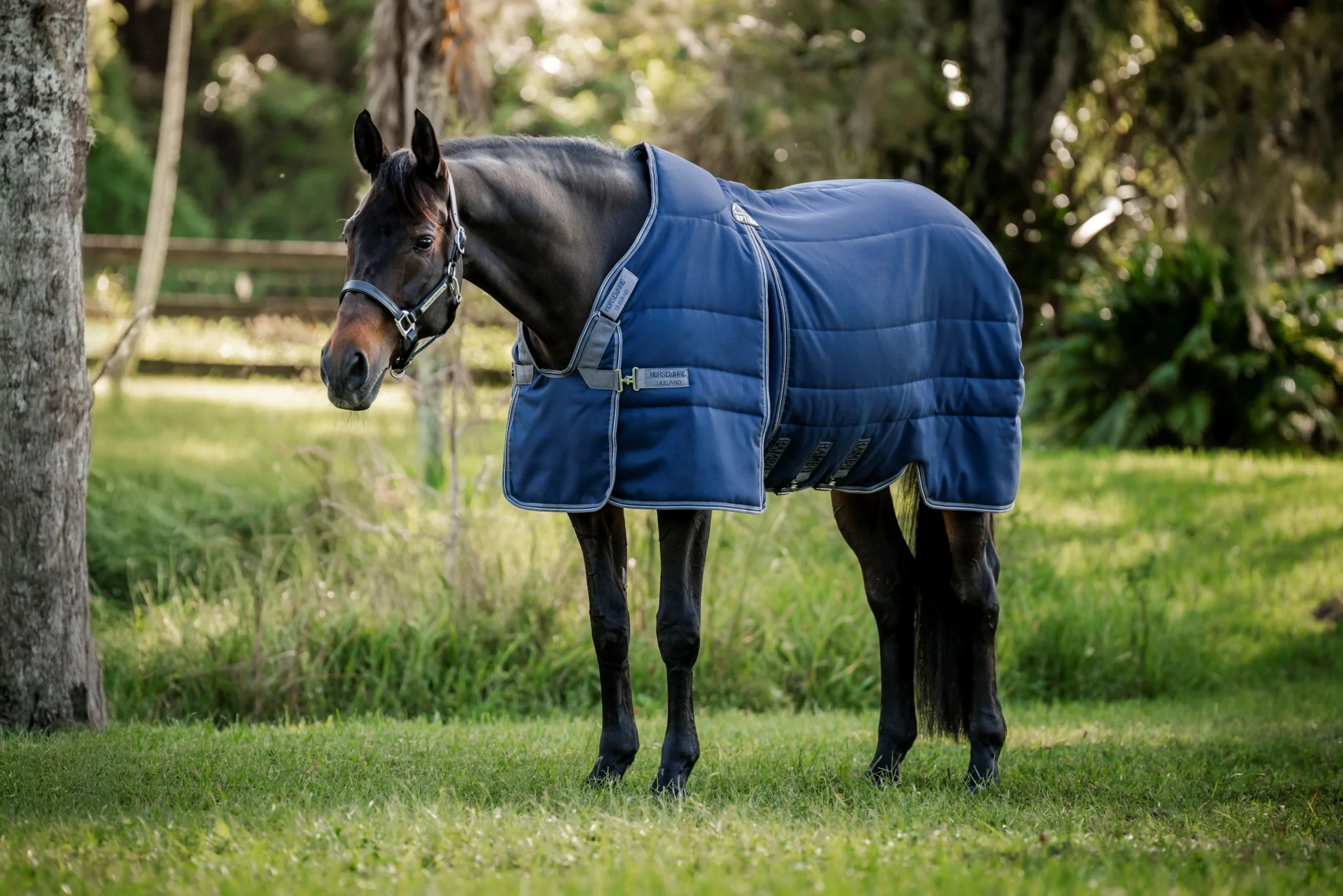 Rambo Optimo Stable 200g - Image 2