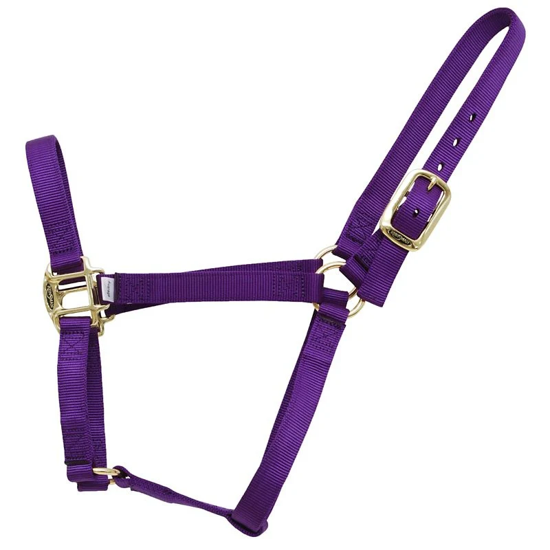 Reinsman Classic Nylon Halter - Image 4