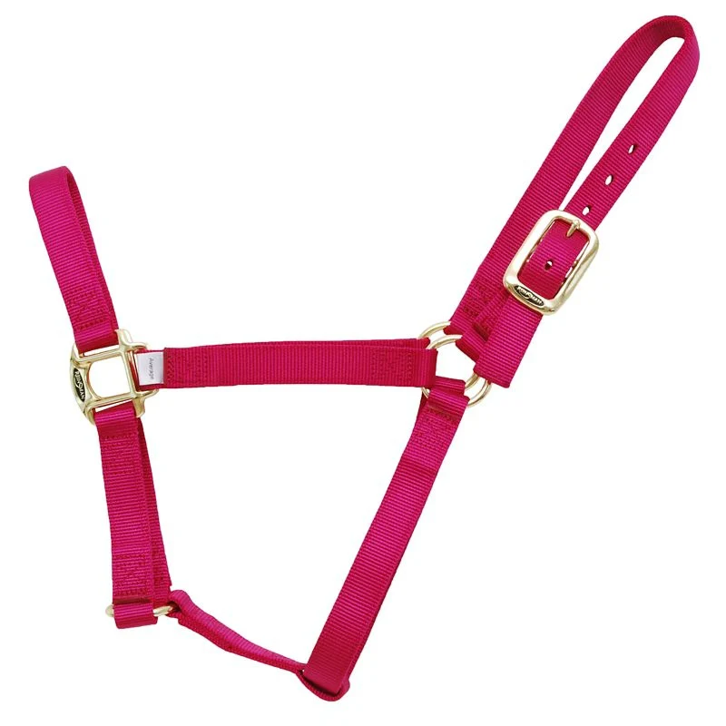 Reinsman Classic Nylon Halter - Image 5
