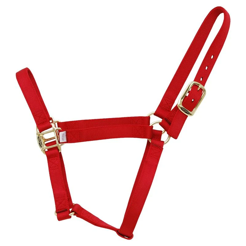 Reinsman Classic Nylon Halter - Image 6