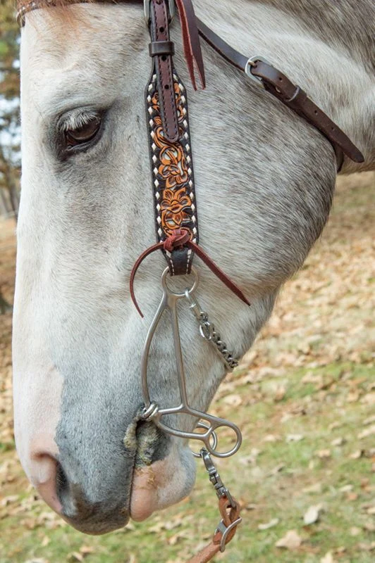 Reinsman Josey Banana Short Shank Gag Bit - Image 3