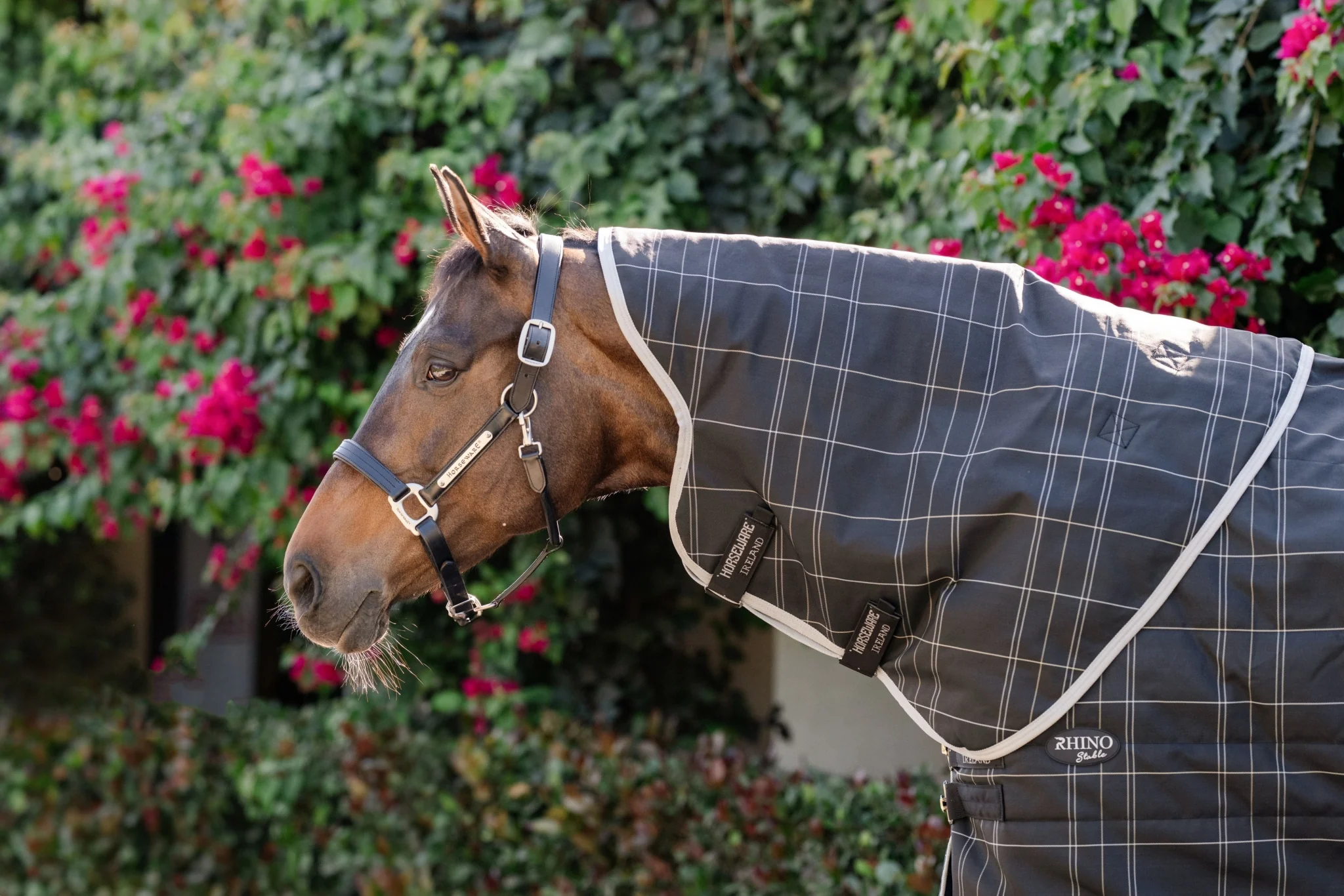 Rhino Stable Hood 200g - Image 4